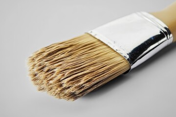A paintbrush with white bristles