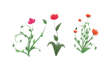 Watercolor flower vector illustration.