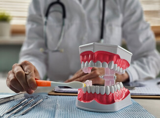 Dental professional demonstrates proper brushing technique on model teeth during patient consultation