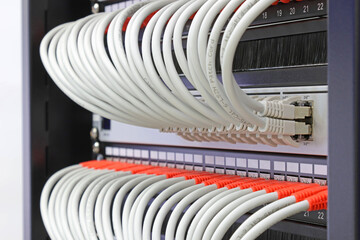 Ethernet switch with connected patchcords with Rj45 connectors. 