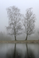 winterwanderung