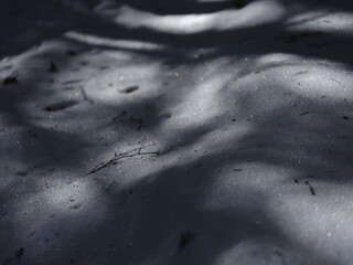 雪の結晶