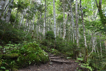 Mt. Nikko-Shirane, Gunma, Tochigi, Japan