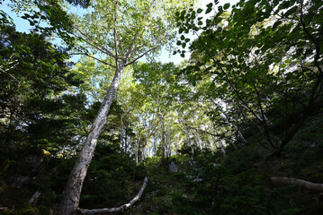 Mt. Nikko-Shirane, Gunma, Tochigi, Japan