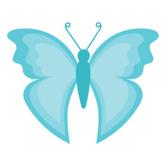 Blue butterfly, vector illustration. Butterfly hand drawn in flat style, colored insect icon