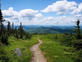 Fototapeta premium Winding Trail Through Green Meadows with Distant Mountain Views Under Cloudy Sky