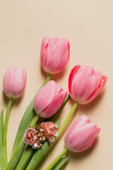 Fototapeta premium Spring still life handmade beetle brooch with pink bottom tulips, top view