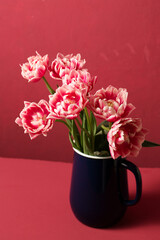 Beautiful pink terry tulips in a jug
