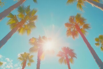 retro-styled upward view of tall palm trees against vibrant blue sky, sun flare effects, and vintage color grading creating a dreamy summer atmosphere