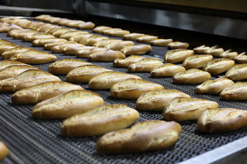 Golden brown loaves of freshly baked bread coming from an industrial conveyor belt oven