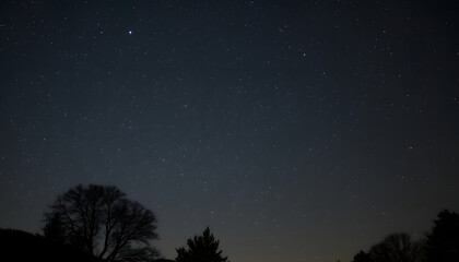 Naklejka premium Night Sky, vintage. with white shades