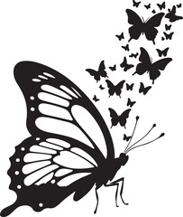 butterfly vector illustration