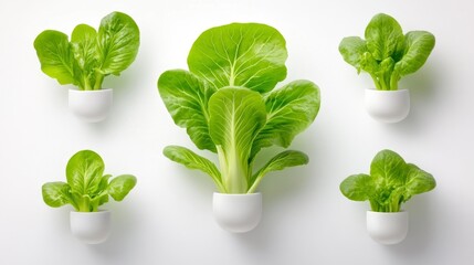 Obraz premium Modern Indoor Hydroponic Lettuce Wall Design. Generative AI
