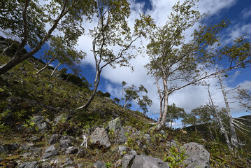 Mt. Nikko-Shirane, Gunma, Tochigi, Japan