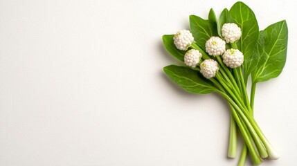 Cluster of Scilla Peruviana Flowers on Lush Green Leaves. Generative AI