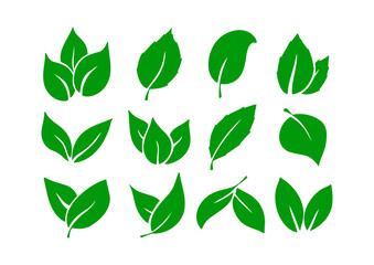 Green leaf icon set. Green leaf collection. Elements design for natural, eco, vegan, bio labels. Vector illustration