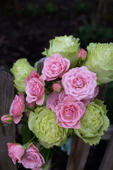bouquet of beautiful fresh pink roses in an interesting combination of pink and green. Flower gift for mother. Valentine's gift. Flower surprise with love. Flower delivery