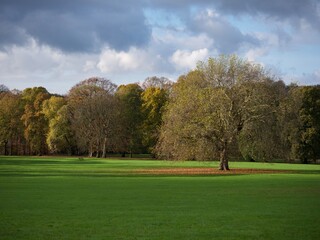 City park in the autumn 