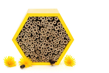 Bee house for conservation and protection with honey bees, dandelion flowers. Eco friendly shelter hexagonal wooden shape with bamboo on white background.