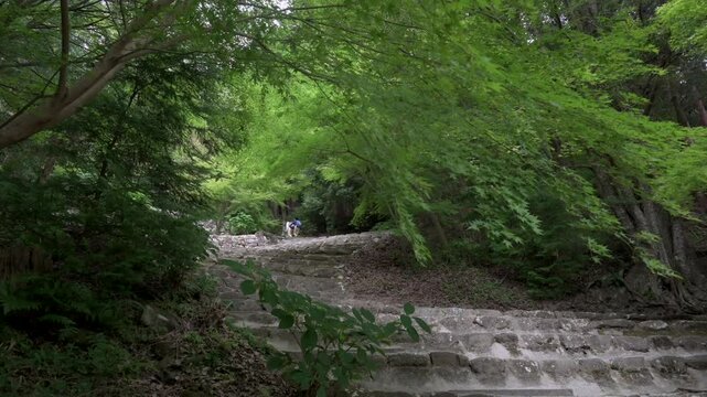 安土城 大手道の風景