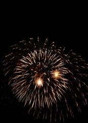 Obraz premium Vibrant Fireworks Show Lighting Up the Sky