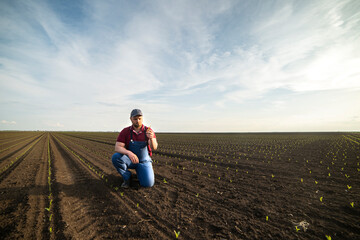 Farmer in corn fields. Growth, outdoor.