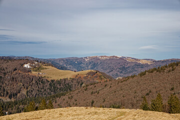 paysage des Vosges 