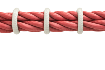 Rope binding technique workshop tutorial indoor isolated on transparent background