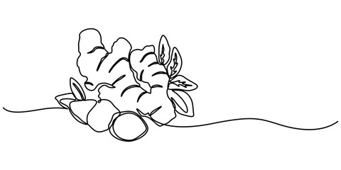 Single one line drawing ginger. Vegetable concept. Continuous line draw design graphic vector illustration, Single one line drawing of healthy organic ginger for harvesting logo identity. Fresh design