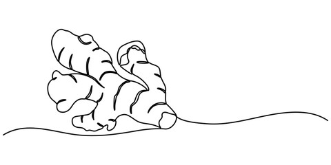 Single one line drawing ginger. Vegetable concept. Continuous line draw design graphic vector illustration, Single one line drawing of healthy organic ginger for harvesting logo identity. Fresh design