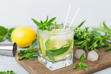 Mojito summer refreshing cocktail with ice and mint. mojito cocktail with lime, lemon and mint in a tall glass with a stick