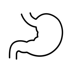 Stomach Vector Icon