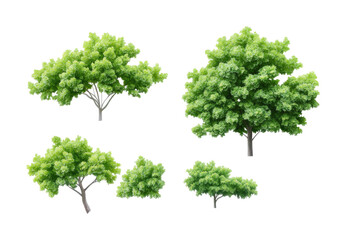 Obraz premium Lush green trees collection nature digital design isolated on transparent background