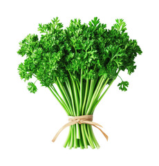 Vibrant kitchen parsley a culinary focus isolated on transparent background