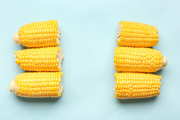 Cut fresh corn cobs on blue background