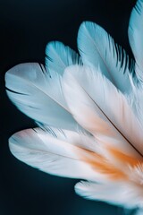 Naklejka premium Close-up of eagle feathers glowing softly with intricate patterns