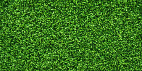 Fototapeta premium Lush green grass texture creates vibrant and refreshing atmosphere, perfect for outdoor settings or landscaping projects