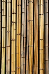 Fototapeta premium a close up of a bunch of bamboo poles with a yellow stripe