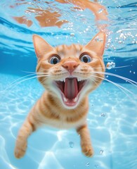 A playful orange cat swimming joyfully in a blue pool, surrounded by bubbles.
