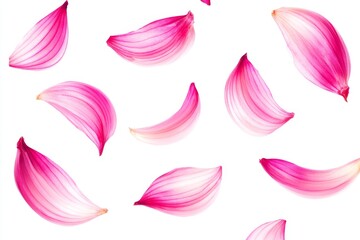 Red onion petals falling, white background, food photography, recipe backdrop
