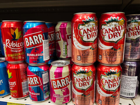 Kyiv, Ukraine - February 04, 2025: Variety of colorful soft drink cans displayed on a grocery store shelf