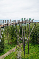 Obraz premium Treetop Walking in Bachledka, Slovakia. Bachledka Ski Sun in Zdiar opposite Belianske Tatras 