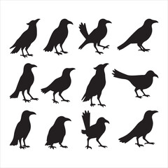 Crow Silhouette Vector Set