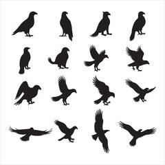 Crow Silhouette Vector Set