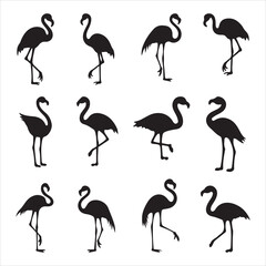 Flamingos Silhouette Vector Set