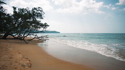 Plaża, okolice Khao Lak, Tajlandia.  © Karol
