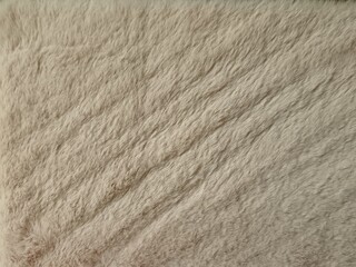 close up of fur