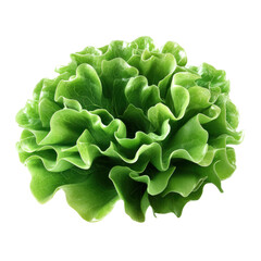 Fototapeta premium A vibrant, ruffled green lettuce head showcasing its texture and natural curves.