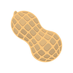 Peanut Flat Design Vector Illustration - Superfood & Vegan Protein Source