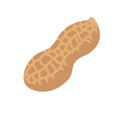 Peanut Flat Design Vector Illustration - Superfood & Vegan Protein Source